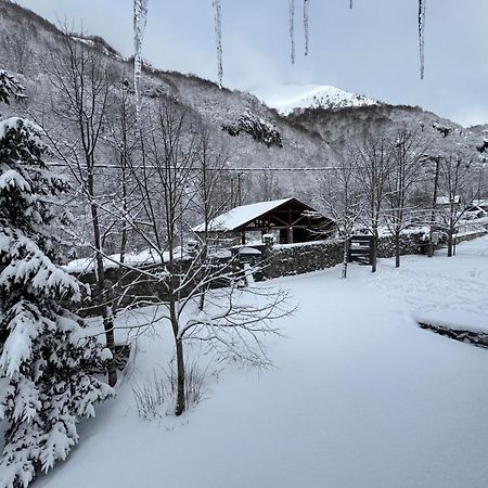 Vikendice Biocinovici Villa Kolašin Exterior foto